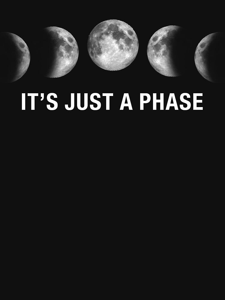 Its just a phase 2 by ruinzahelva T-Shirts, Hoodie, Sweatshirt | BlankRebels.com (Image 3)