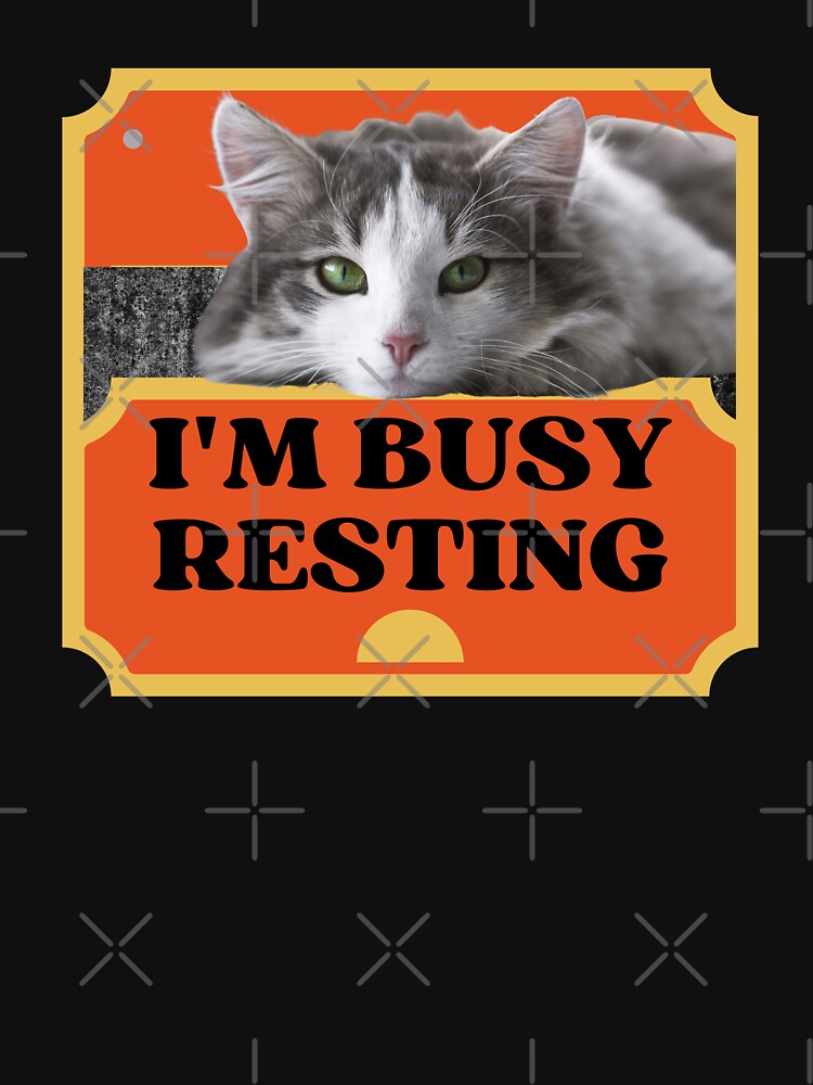 IM BUSY RESTING - Funny Cat Pictures with Captions and Cat Sayings by FunnyCatsFam T-Shirts, Hoodie, Sweatshirt (Image 3)