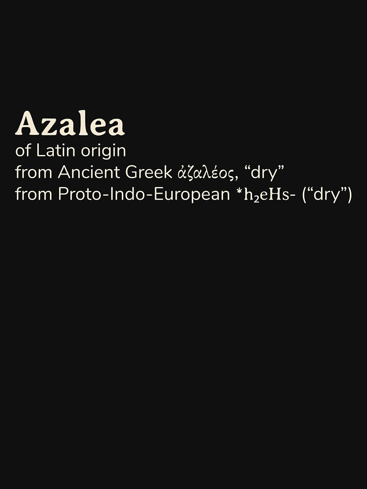 Azalea name etymology by YourNameStory T-Shirts, Hoodie, Sweatshirt | BlankRebels.com (Image 3)