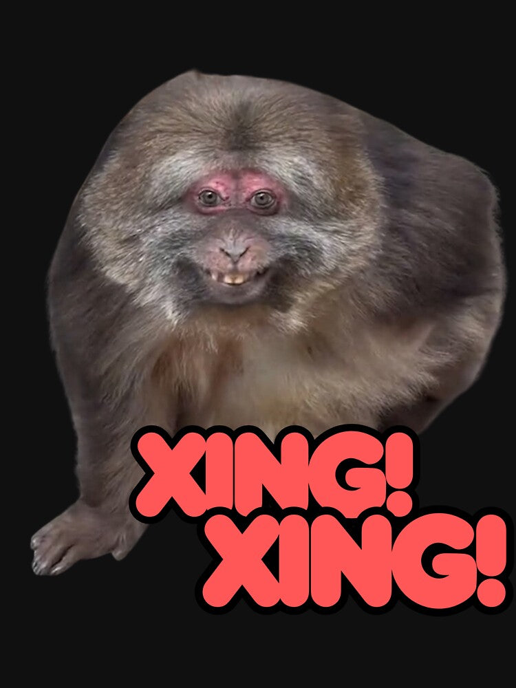 Xing Xing by whatthefoxsays
