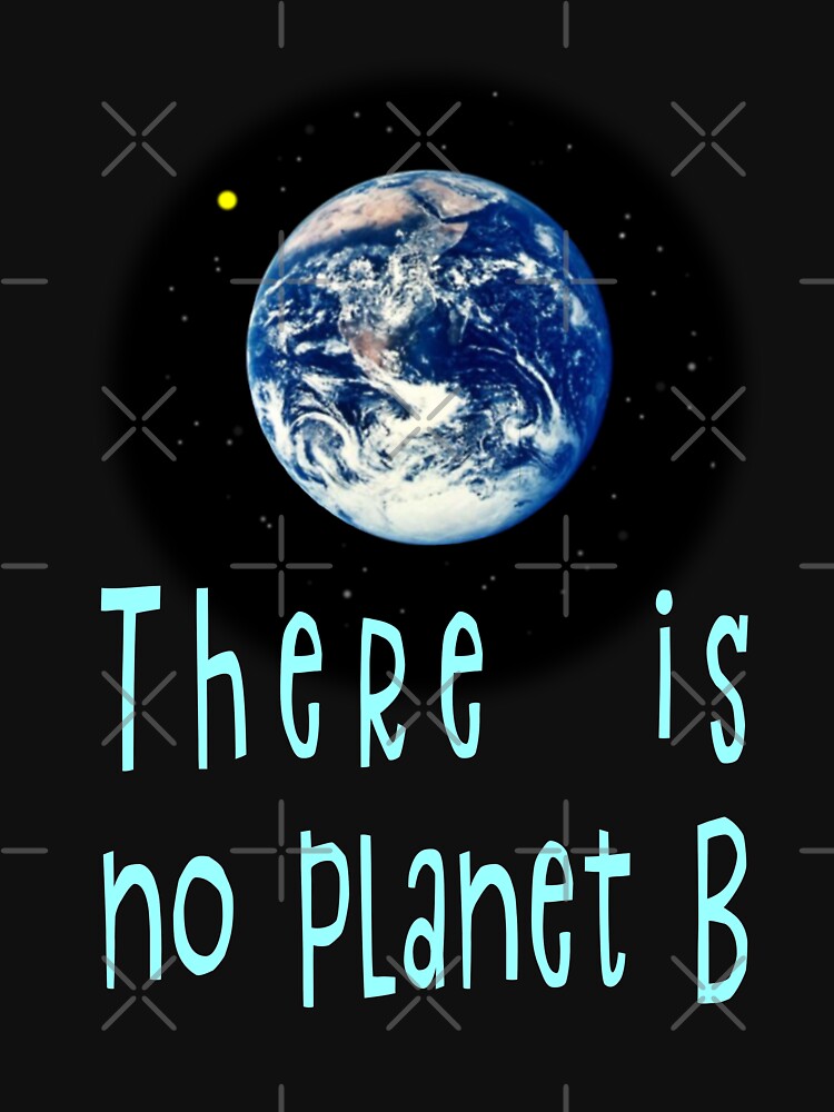 there is no planet b by sandpiperstudio T-Shirts, Hoodie, Sweatshirt | BlankRebels.com (Image 3)