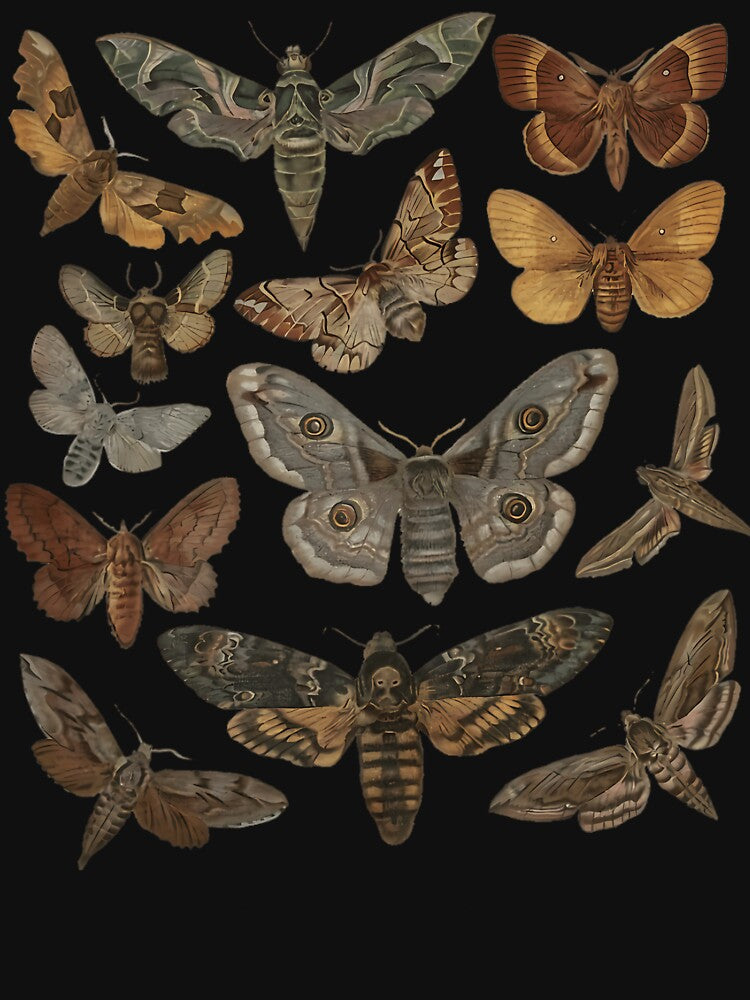 Moth Cottagecore Bug Aesthetic by baabmmanry52 T-Shirts, Hoodie, Sweatshirt | BlankRebels.com (Image 3)