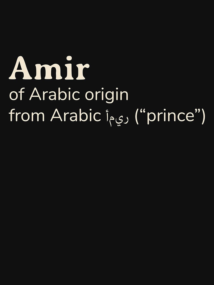 Amir name etymology by YourNameStory T-Shirts, Hoodie, Sweatshirt | BlankRebels.com (Image 3)