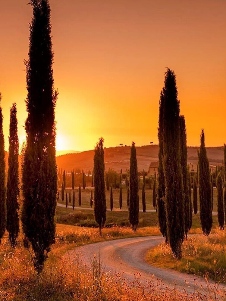 BEAUTIFUL SUNSET IN TUSCANY, ITALY by MJ96-PRO T-Shirts, Hoodie, Sweatshirt | BlankRebels.com (Image 3)