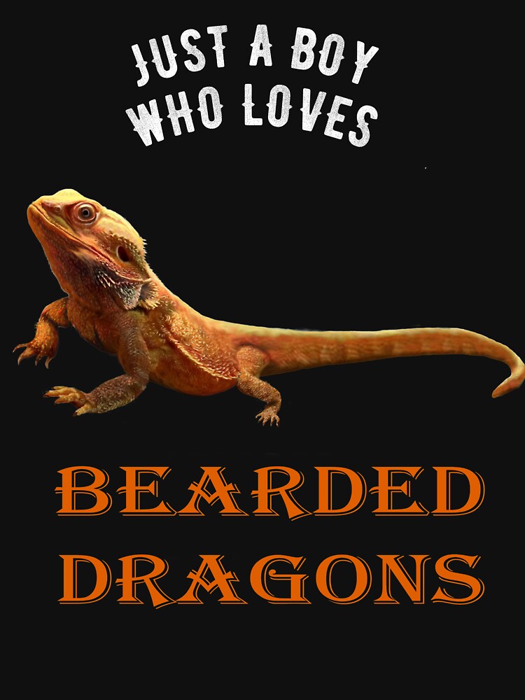 JUST A BOY WHO LOVES BEARDED DRAGONS by Danicus666 T-Shirts, Hoodie, Sweatshirt | BlankRebels.com (Image 3)