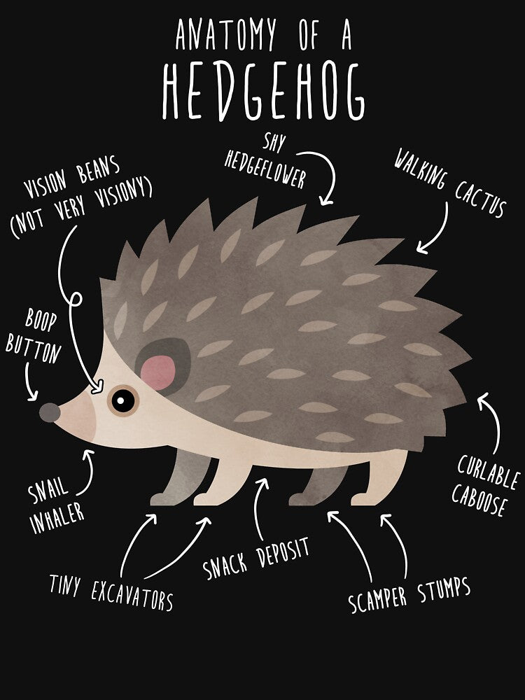 Hedgehog Anatomy by Clara Hollins