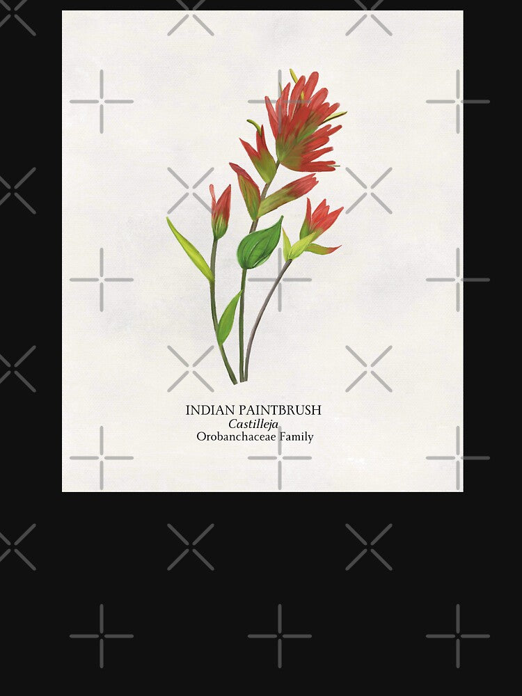 Indian Paintbrush Castilleja Botanical Wildflower by Angie-Atelier T-Shirts, Hoodie, Sweatshirt | BlankRebels.com (Image 3)