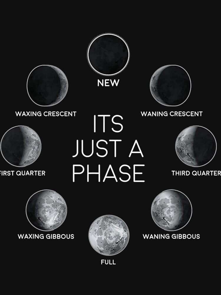 Just A Phase Moon Shirt Lunar Space Gift by ElesaFox Hoodie, Sweatshirt | BlankRebels.com (Image 3)