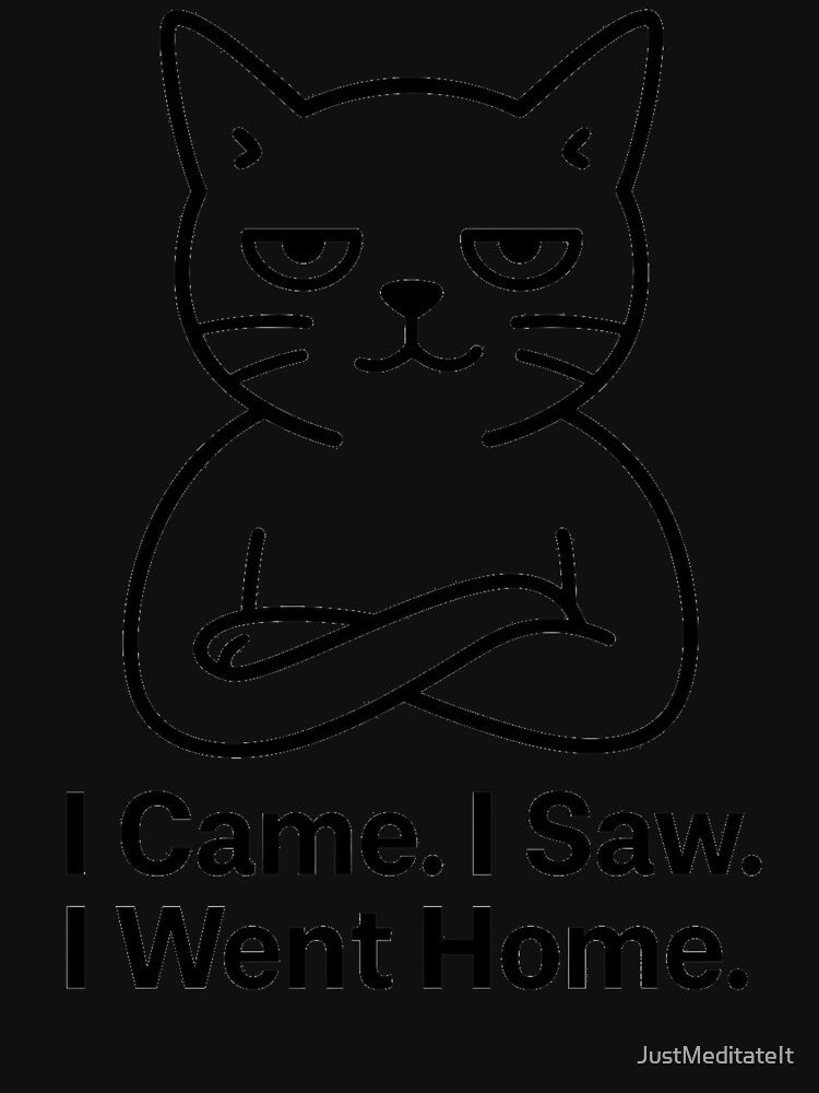 I came. I saw. I went Home. – Cozy Hoodie and T-Shirt for Awkward Introverts – Funny and Minimalist Style by... (Image 3)