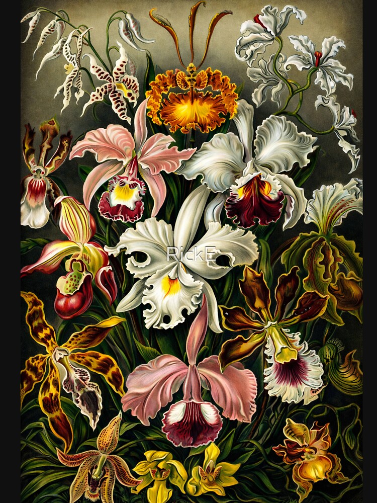 Orchids Vintage Botanical Illustration Floral Art Lovers by RickE T-Shirts, Hoodie, Sweatshirt | BlankRebels.com (Image 3)