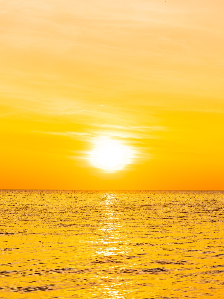 AMAZING SUNSET by MJ96-PRO T-Shirts, Hoodie, Sweatshirt | BlankRebels.com (Image 3)