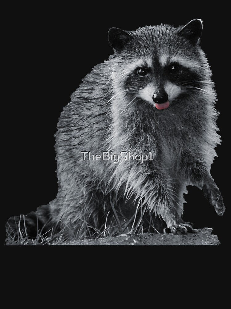 Little raccoon buddy by TheBigShop1 T-Shirts, Hoodie, Sweatshirt | BlankRebels.com (Image 3)