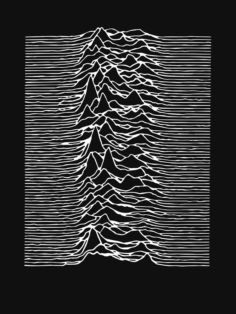 JOY UNKNOWN PLEASURE DIVISION by victor1995 T-Shirts, Hoodie, Sweatshirt | BlankRebels.com (Image 3)