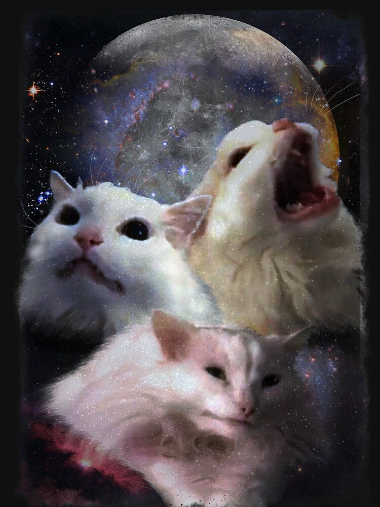 Triple Thurston Moon Cats! by Thurstonwaffles T-Shirts, Hoodie, Sweatshirt | BlankRebels.com (Image 3)