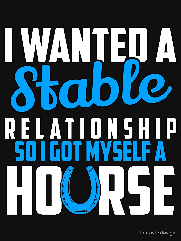Funny Sarcastic Saying I Wanted A Stable Relationship by fantasticdesign T-Shirts, Hoodie, Sweatshirt (Image 3)