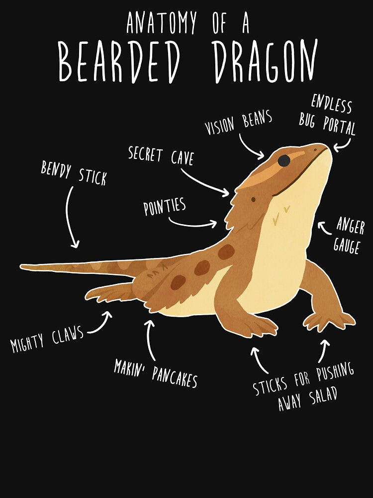Anatomy of a Bearded Dragon by Clara Hollins T-Shirts, Hoodie, Sweatshirt | BlankRebels.com (Image 3)