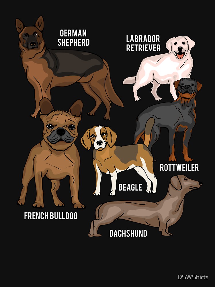 Dogs Species Dog Owner Gift Men Dog Lover by DSWShirts T-Shirts, Hoodie, Sweatshirt | BlankRebels.com (Image 3)