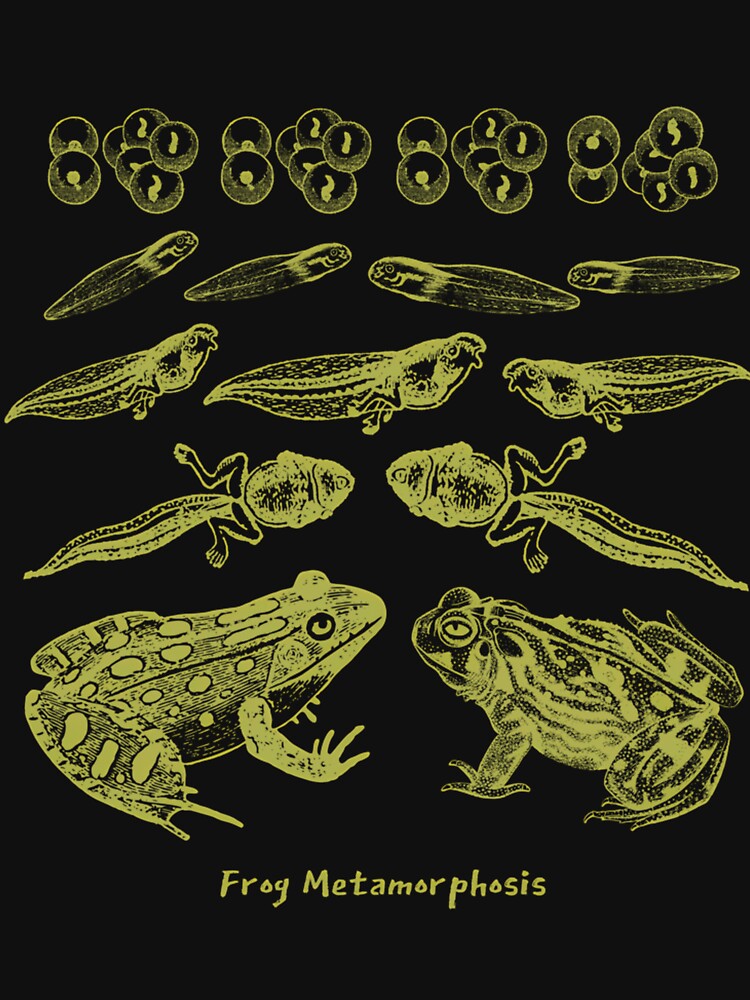 Frog Life Cycle Vintage Metamorphosis Diagram by dyrkaqalibe1 T-Shirts, Hoodie, Sweatshirt | BlankRebels.com (Image 3)