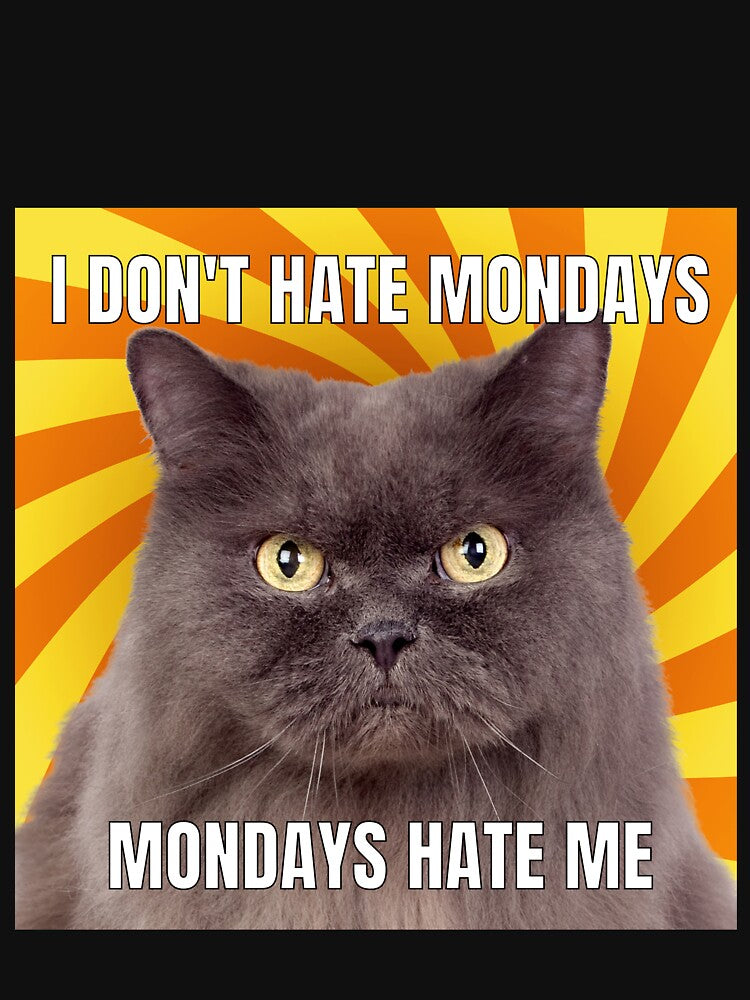 I dont Hate Mondays, Mondays hate me Cat Meme Funny Cool by popotamfriends T-Shirts, Hoodie, Sweatshirt (Image 3)