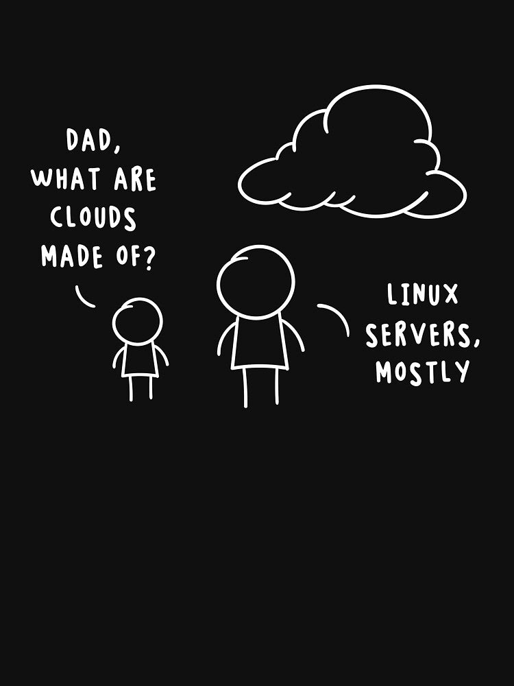 Linux Servers Cloud Computing Funny Quote Sysadmin by Lenny Stahl