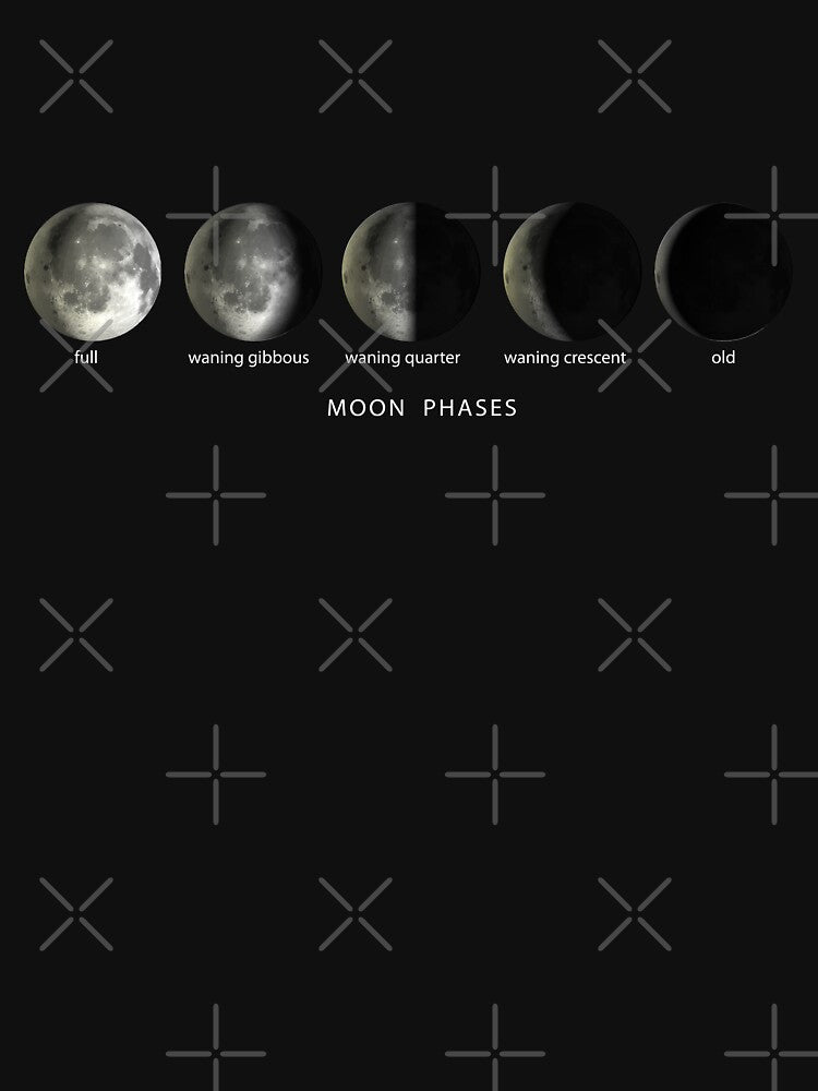 Phases of the Moon by PMSNshop T-Shirts, Hoodie, Sweatshirt | BlankRebels.com (Image 3)