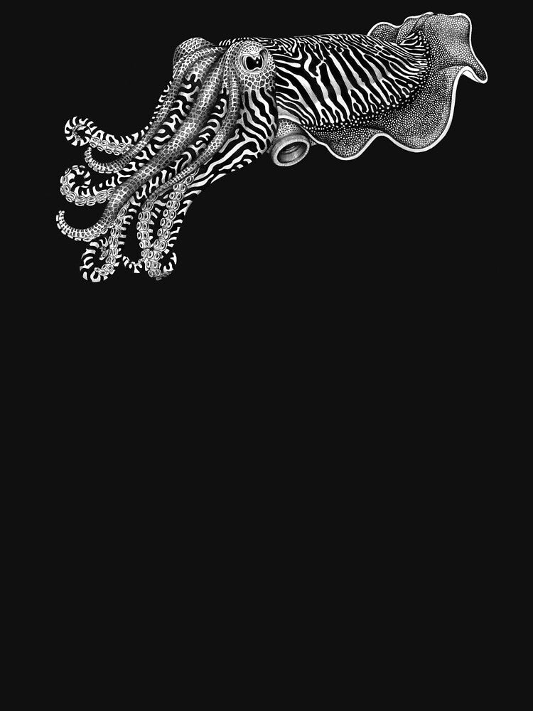 Cuttlefish by TimJeffsArt T-Shirts, Hoodie, Sweatshirt | BlankRebels.com (Image 3)