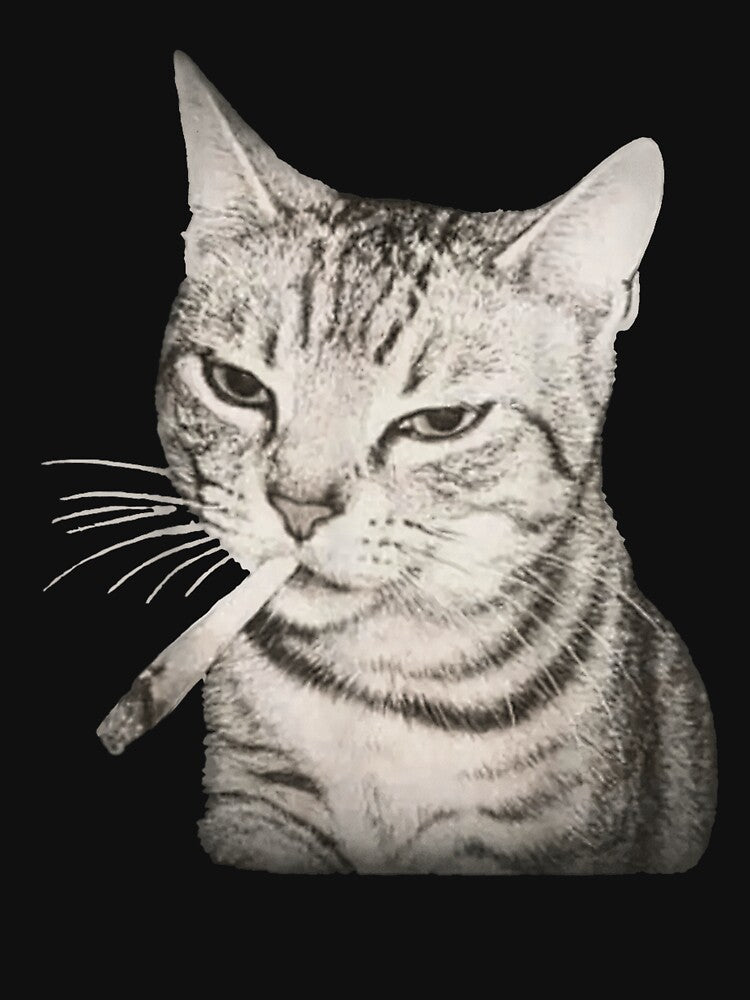 Smoking Cat Meme by BASKF