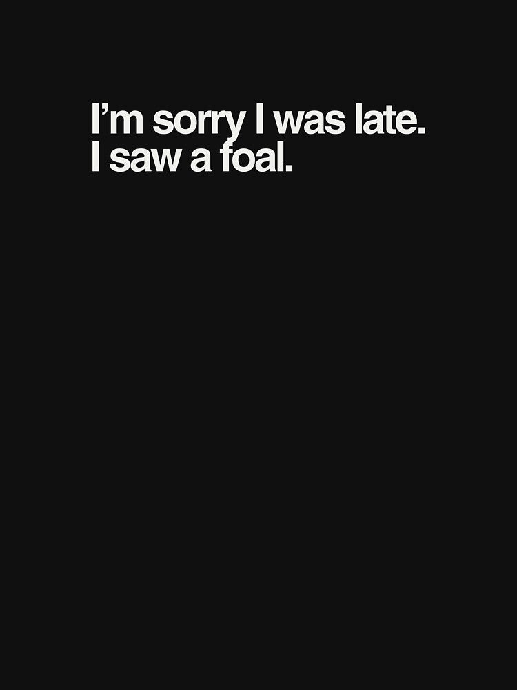 I'm Sorry I was late.  I saw a foal collection by Kaylews_Designs T-Shirts, Hoodie, Sweatshirt | BlankRebels.com (Image 3)