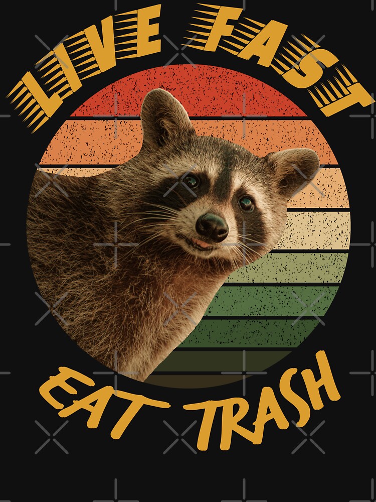 Funny Raccoon Live Fast Eat Trash Retro by YJHDesign T-Shirts, Hoodie, Sweatshirt | BlankRebels.com (Image 3)