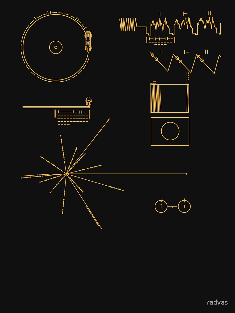 Voyager Golden Record by radvas T-Shirts, Hoodie, Sweatshirt | BlankRebels.com (Image 3)