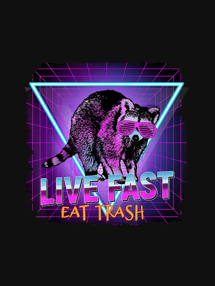 Raccoon Raccoons Live Fast Eat Trash Panda Funny Retro T-Shirts, Hoodie, Sweatshirt