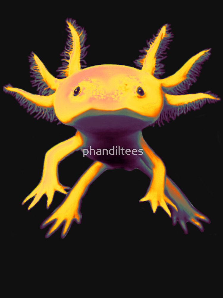 Axolotl by DoodleDashCollective T-Shirts, Hoodie, Sweatshirt | BlankRebels.com (Image 3)
