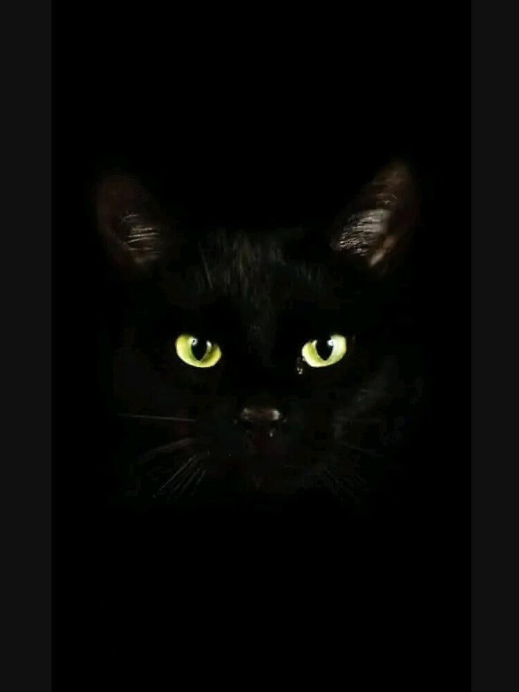 Dark Insides cat by riawawawuwi T-Shirts, Hoodie, Sweatshirt | BlankRebels.com (Image 3)