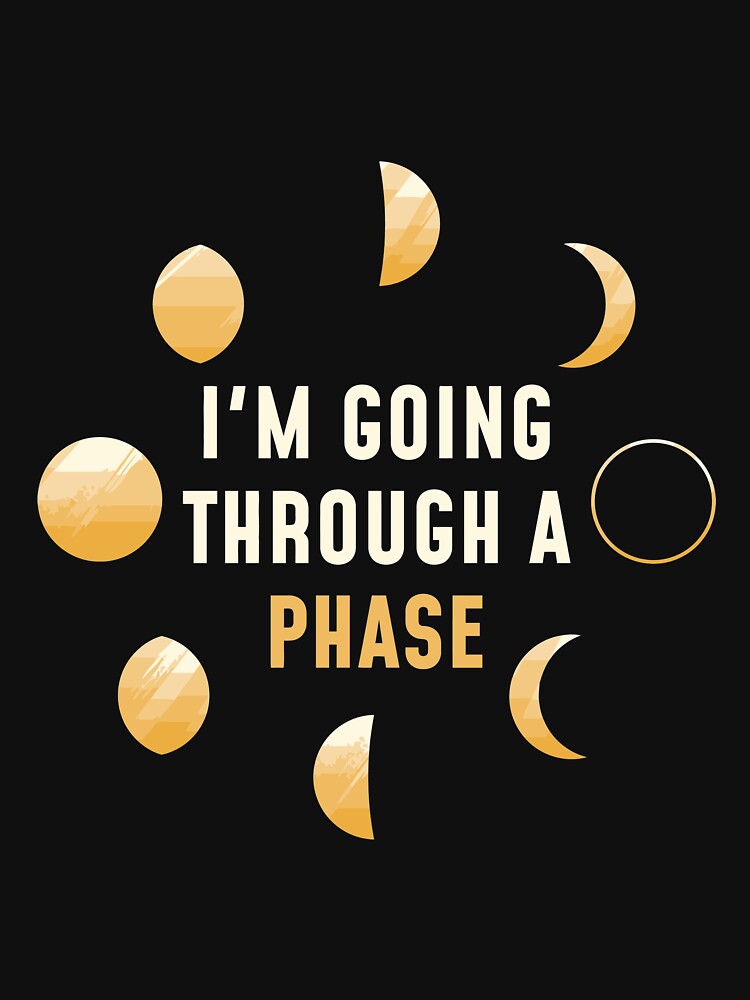 Moon Phase Scientist Gift Idea Universe Astronomy by elamlakini T-Shirts, Hoodie, Sweatshirt | BlankRebels.com (Image 3)