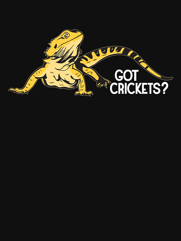Got Crickets? Funny Tshirt by Talia  Jones Hoodie, Sweatshirt | BlankRebels.com (Image 3)
