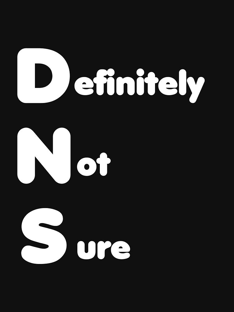 DNS – Definitely Not Sure – Funny IT by hanneshannes02 T-Shirts, Hoodie, Sweatshirt | BlankRebels.com (Image 3)