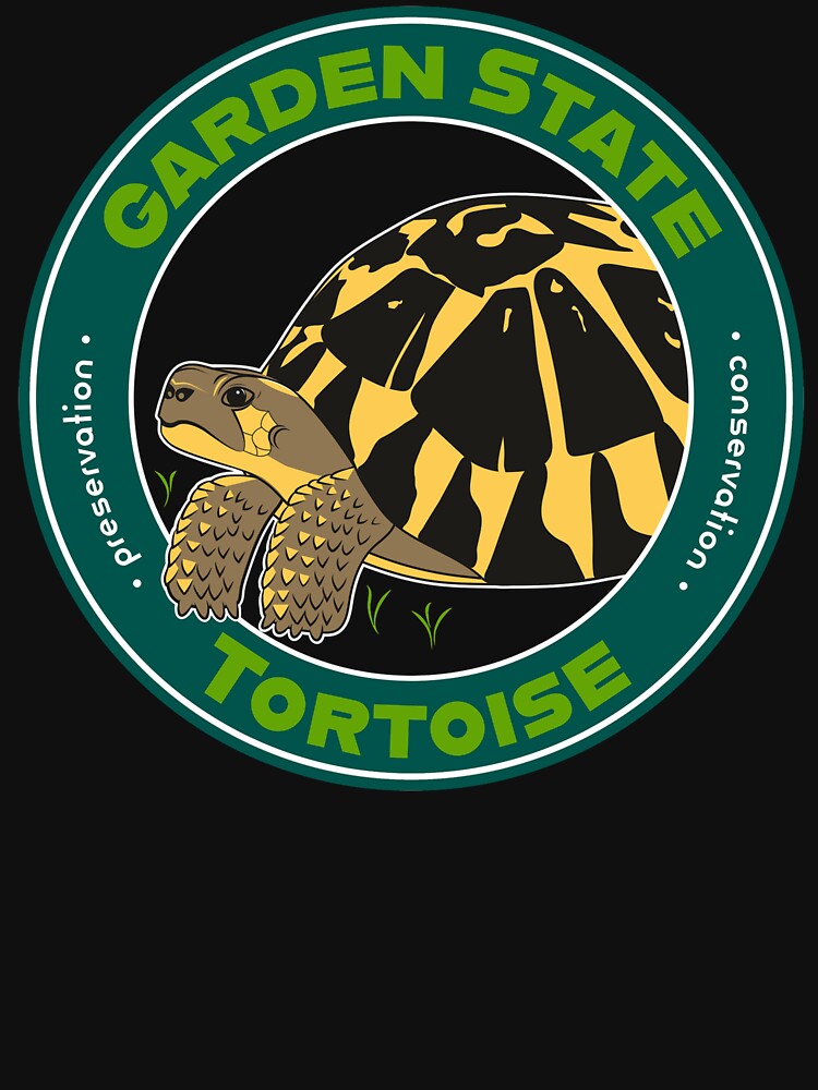Garden State Tortoise: Western Hermann's Tortoise by GardenStateTort