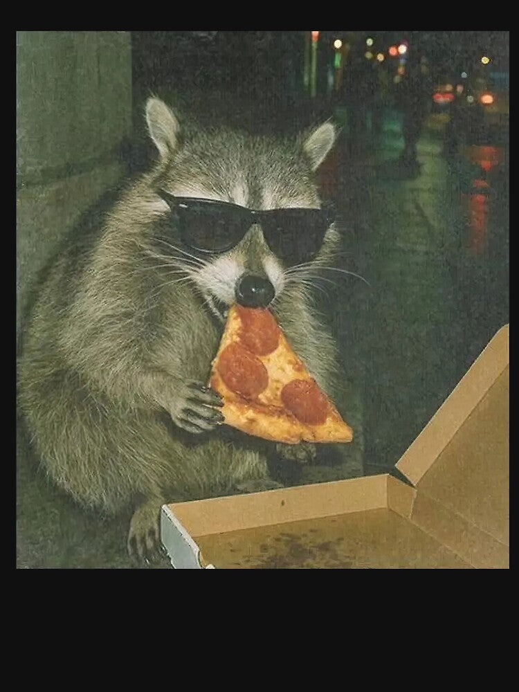 Cute Raccoon Eating Pizza Funny Meme by VirgilPeck