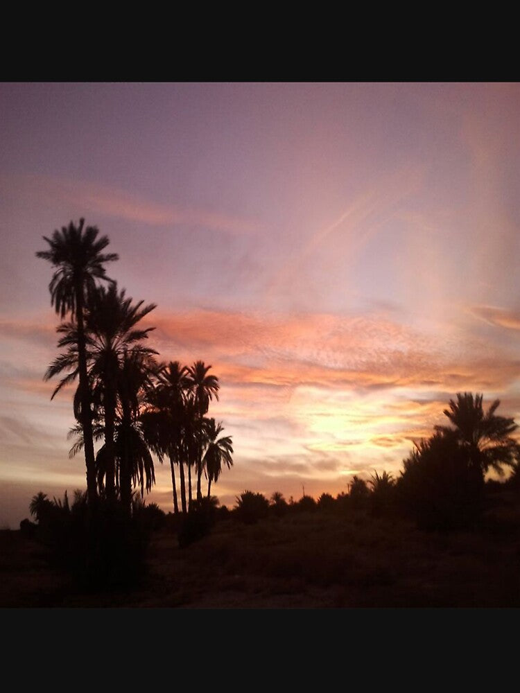 Awesome view of sunrise and palm trees by faridman T-Shirts, Hoodie, Sweatshirt | BlankRebels.com (Image 3)