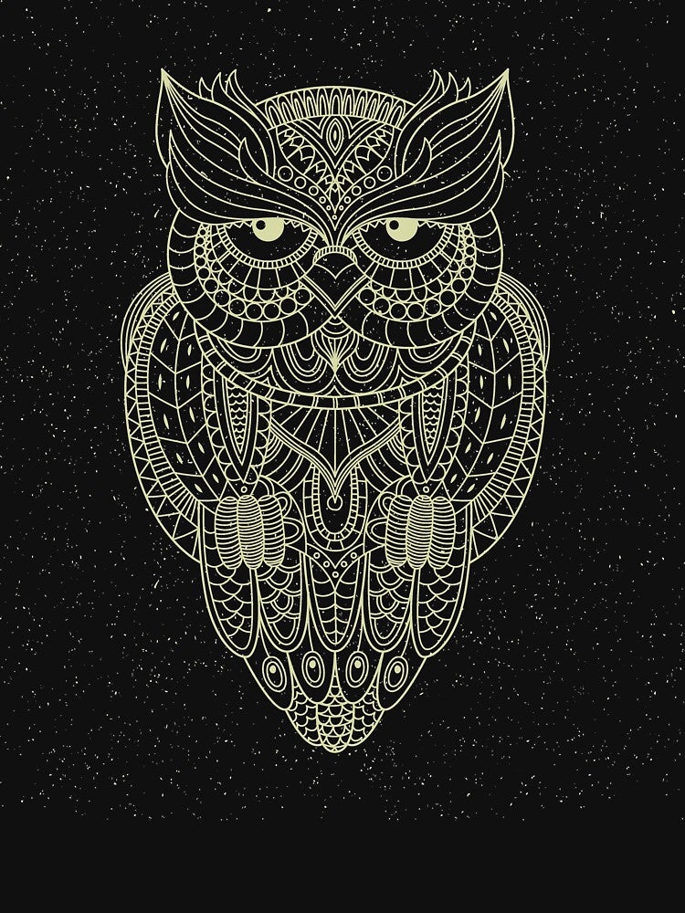 Teal Gradient Paisley Henna Owl Bohemian Graphic by boxofstories T-Shirts, Hoodie, Sweatshirt | BlankRebels.com (Image 3)