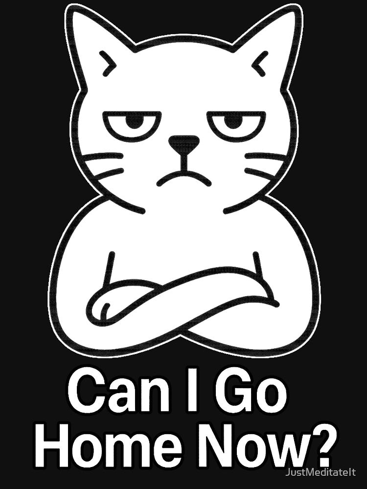 Can I go Home Now Hoodie and Tee for Homebodies | Funny Introvert Style by JustMeditateIt Sweatshirt (Image 3)