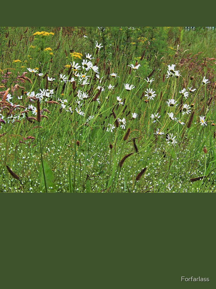 Wild Flowers in Spring by Forfarlass