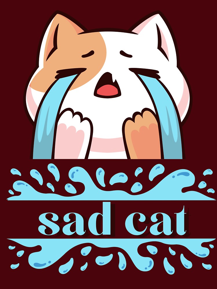 sad cat in grunge t-shirt classic by chaousari98 ⭐️⭐️⭐️⭐️⭐️ Hoodie, Sweatshirt | BlankRebels.com (Image 3)