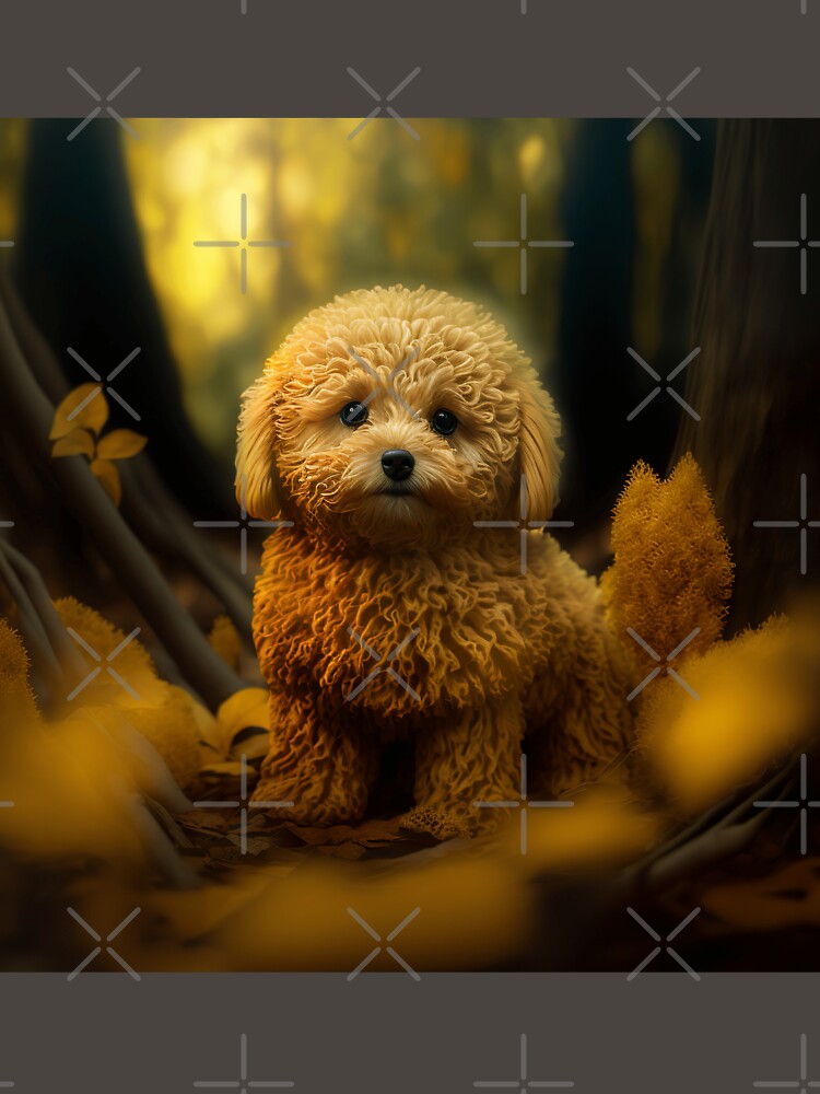 Through Wandering Eyez- Golden Series- Maltipoo 1 by 4-Tha-Wandererz