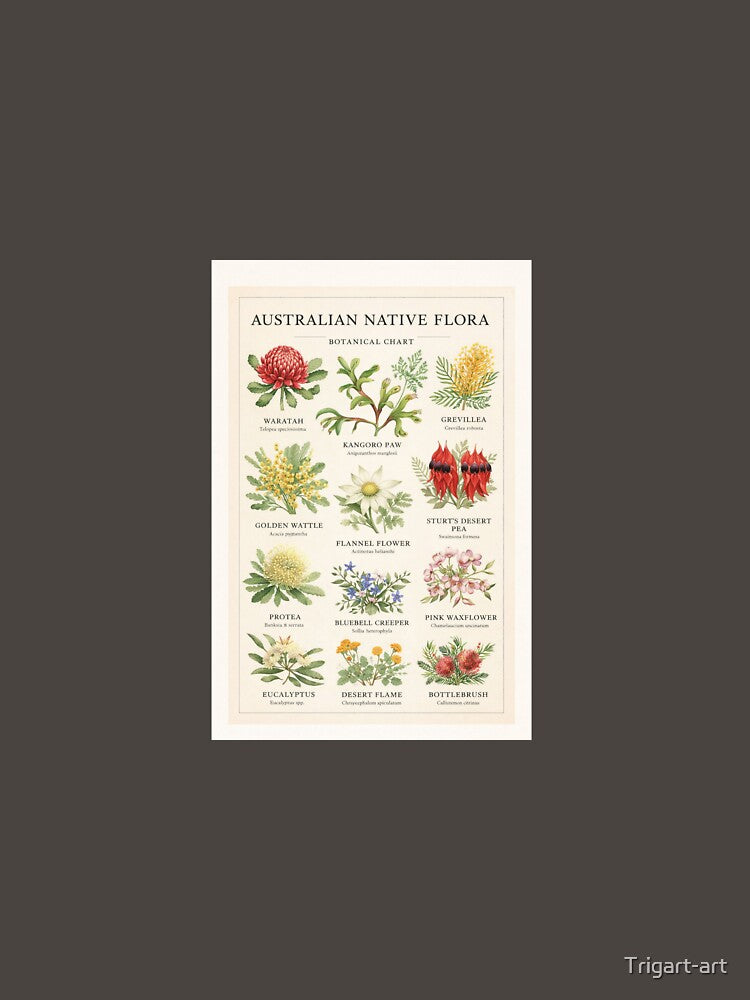 Australian Native Flora Botanical Chart Poster by Trigart-art T-Shirts, Hoodie, Sweatshirt | BlankRebels.com (Image 3)