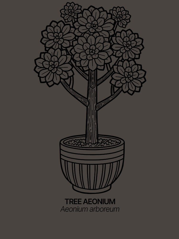 Form and Line – Aeonium arboreum (Tree Aeonium) in Black by BTNYBayCo T-Shirts, Hoodie, Sweatshirt (Image 3)