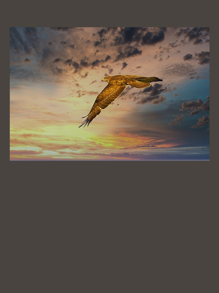 Bird of Prey into the sunset by JerryTye T-Shirts, Hoodie, Sweatshirt | BlankRebels.com (Image 3)