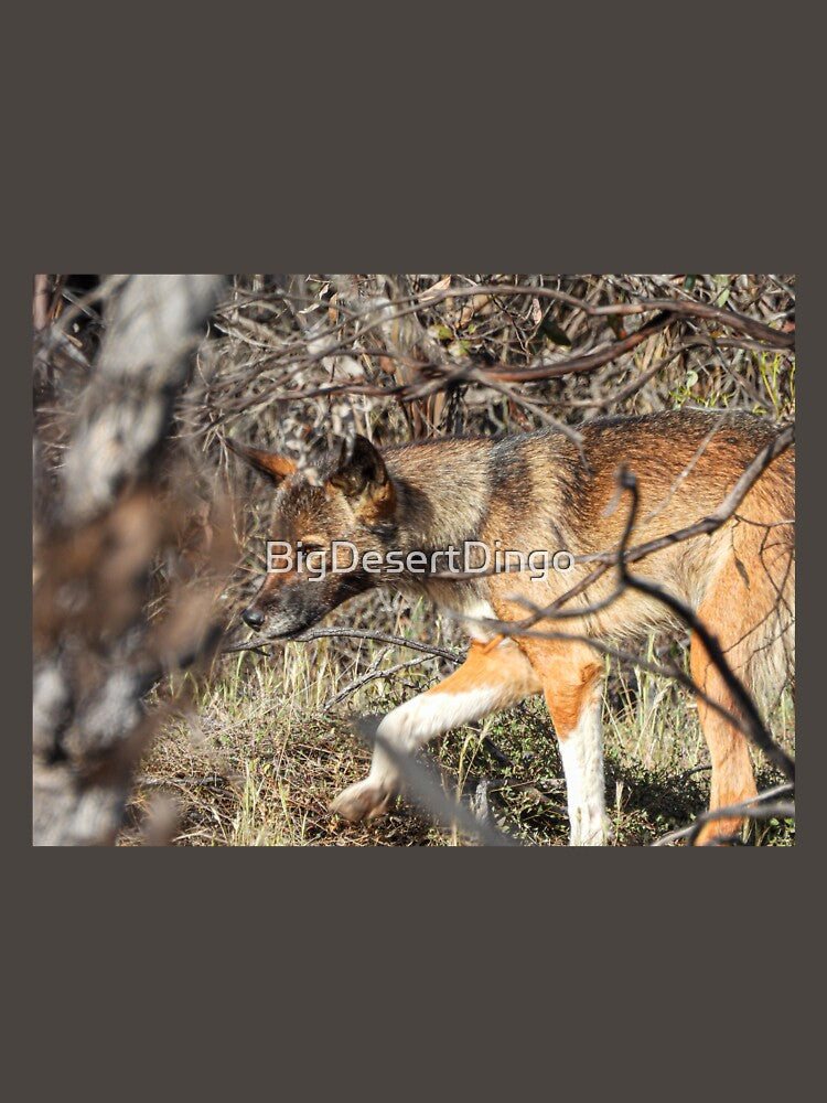 Wild Sable Dingo by BigDesertDingo T-Shirts, Hoodie, Sweatshirt | BlankRebels.com (Image 3)