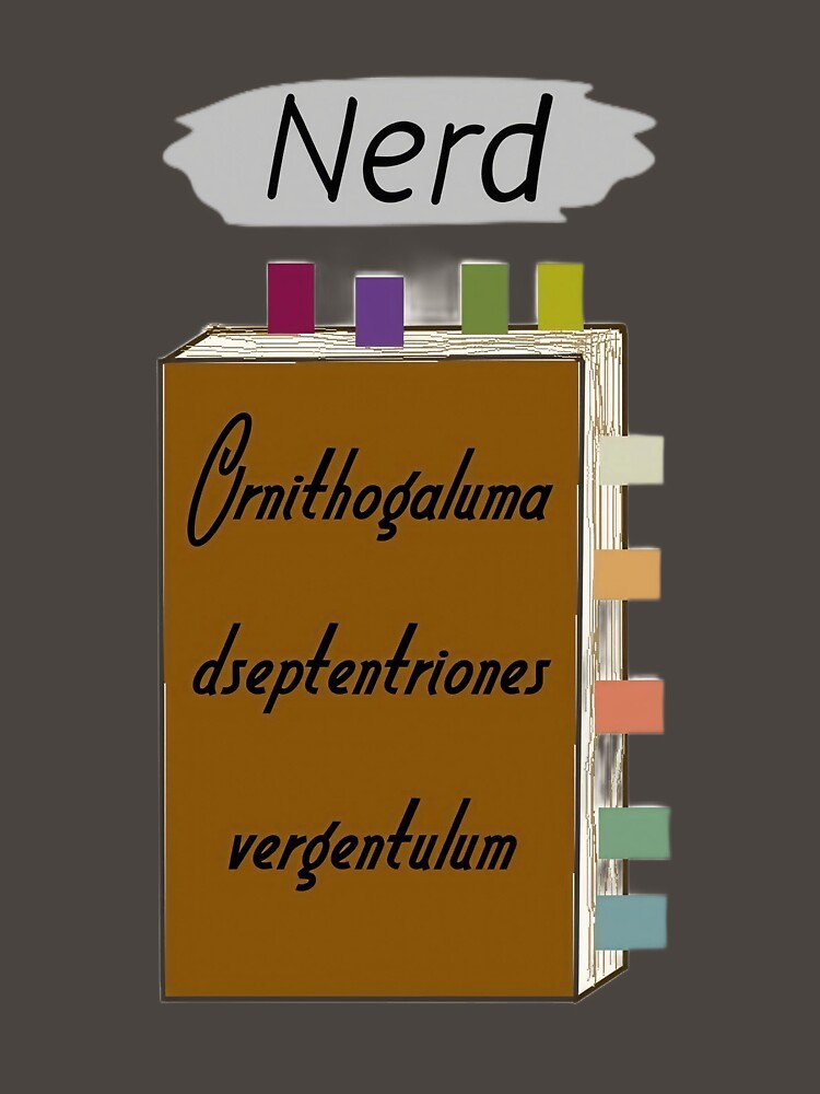 Nerd by Natalia Zaripova