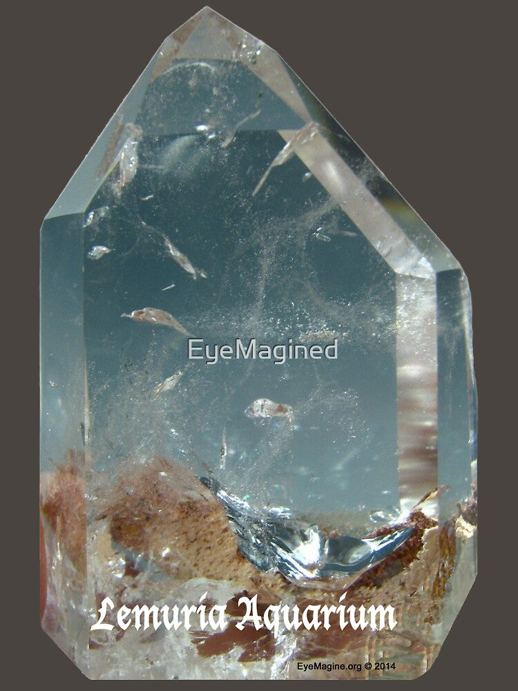 Lemuria Crystal Aquarium by EyeMagined T-Shirts, Hoodie, Sweatshirt | BlankRebels.com (Image 3)